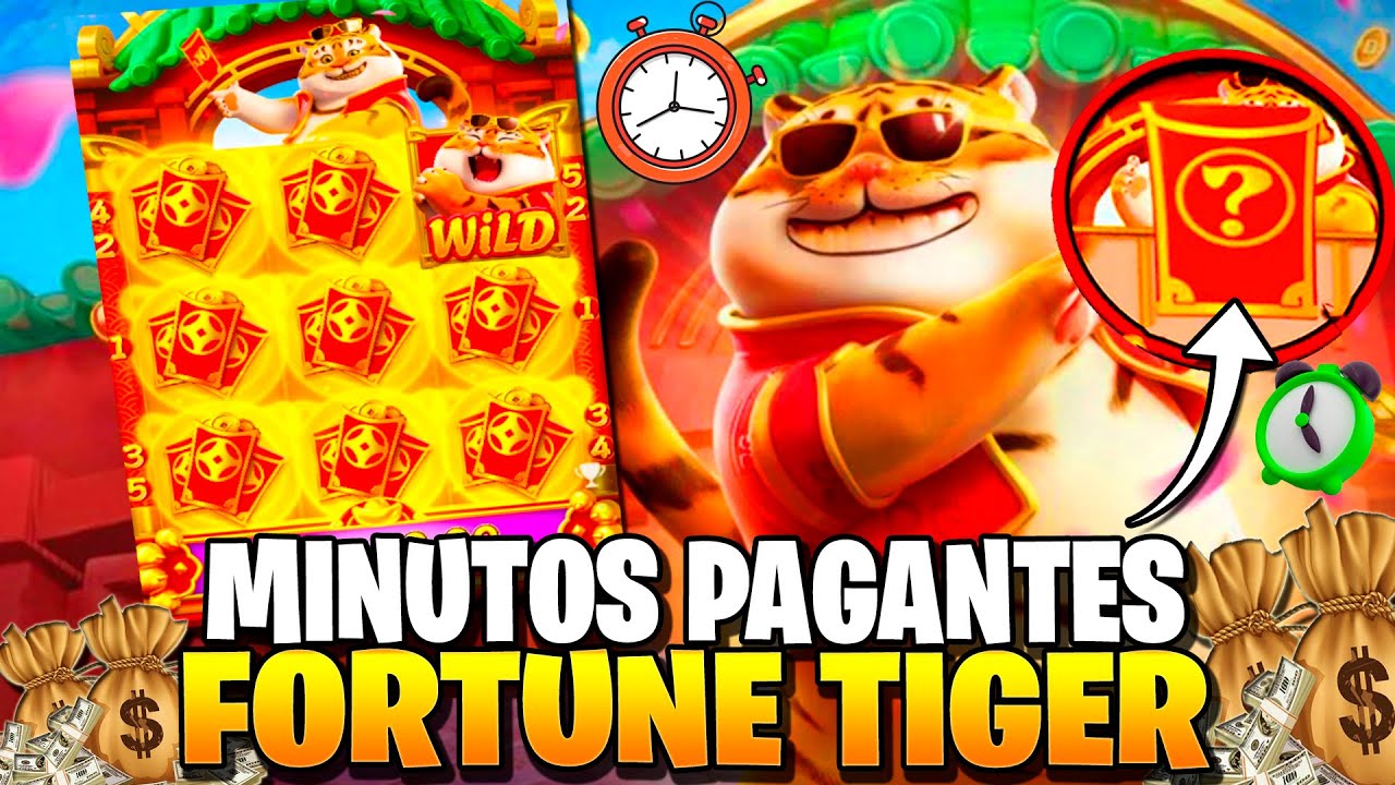 jogo bet casino imagem de tela 3